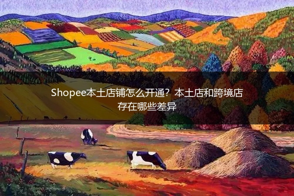 Shopee本土店铺怎么开通？本土店和跨境店存在哪些差异 
