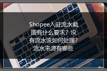 Shopee入驻流水截图有什么要求？没有流水该如何处理？流水来源有哪些