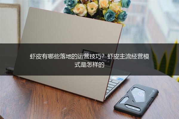虾皮有哪些落地的运营技巧?虾皮主流经营模式是怎样的