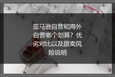 亚马逊自营和海外自营哪个划算？优劣对比以及跟卖风险说明