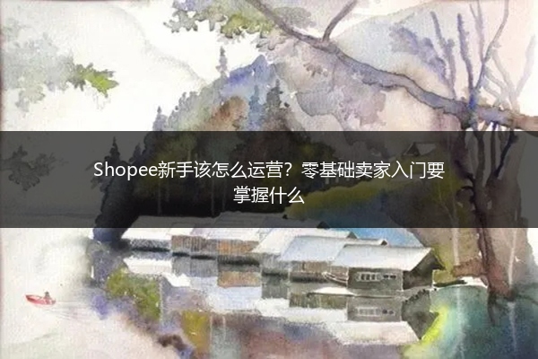 Shopee新手该怎么运营?零基础卖家入门要掌握什么