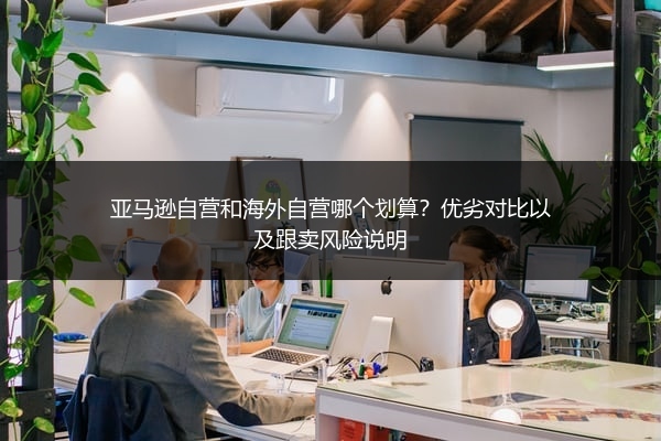 亚马逊自营和海外自营哪个划算？优劣对比以及跟卖风险说明