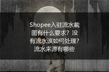Shopee入驻流水截图有什么要求?没有流水该如何处理?流水来源有哪些