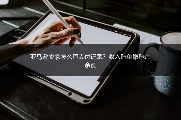 亚马逊卖家怎么查支付记录?收入账单跟账户余额