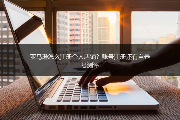 亚马逊怎么注册个人店铺？账号注册还有自养号测评