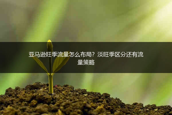 亚马逊旺季流量怎么布局?淡旺季区分还有流量策略