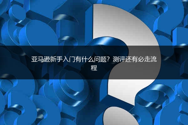 亚马逊新手入门有什么问题？测评还有必走流程