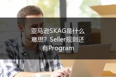 亚马逊SKAG是什么意思?Seller规则还有Program