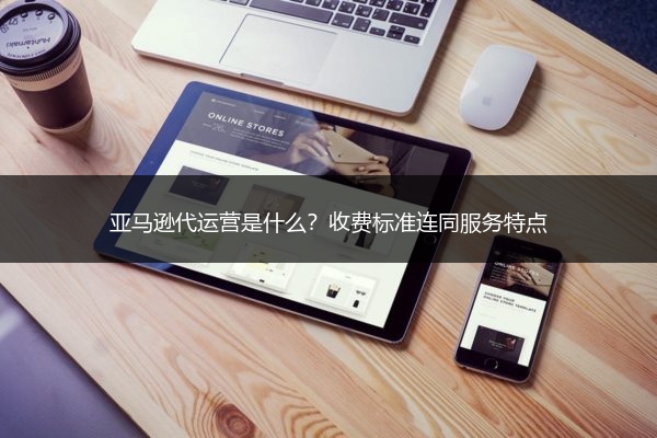 亚马逊代运营是什么？收费标准连同服务特点