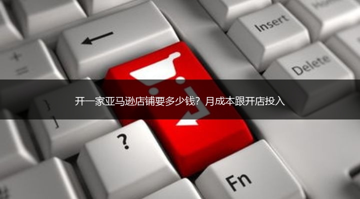 开一家亚马逊店铺要多少钱?月成本跟开店投入