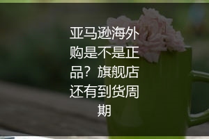 亚马逊海外购是不是正品？旗舰店还有到货周期