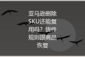 亚马逊删除SKU还能复用吗?货件规则跟商品恢复