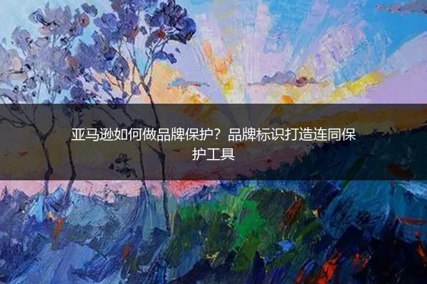 亚马逊如何做品牌保护？品牌标识打造连同保护工具