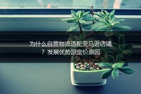 为什么自营物流适配亚马逊店铺?发展优势跟定价原因